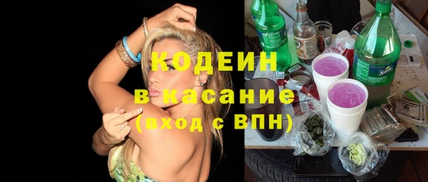 дмт Кодинск