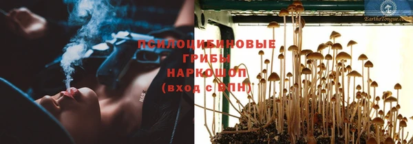 круглые Козловка