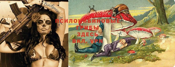 дмт Кодинск