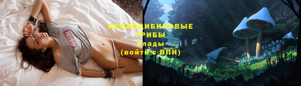 дмт Кодинск