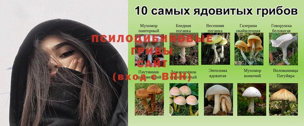 a pvp Козельск